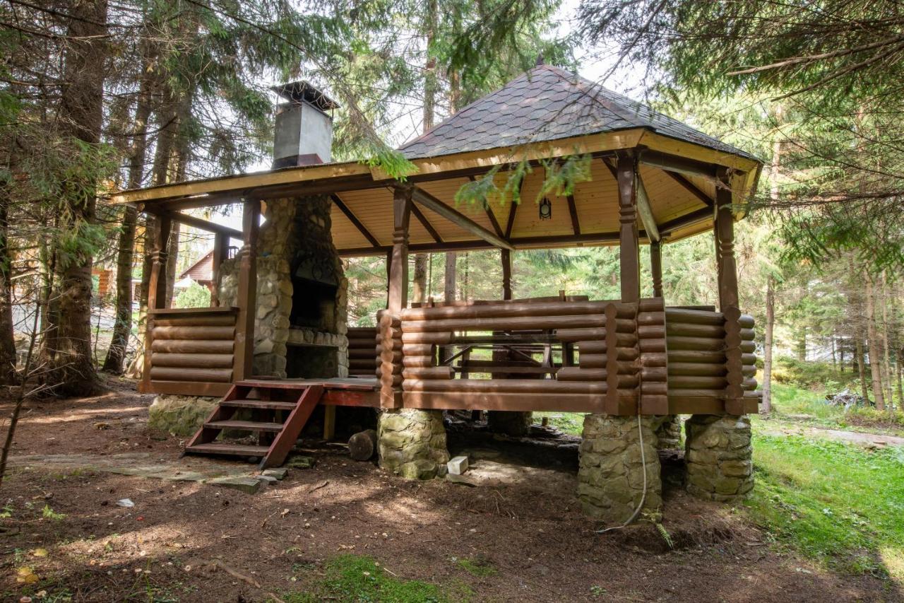 маєток ліс і гори * Bukovel