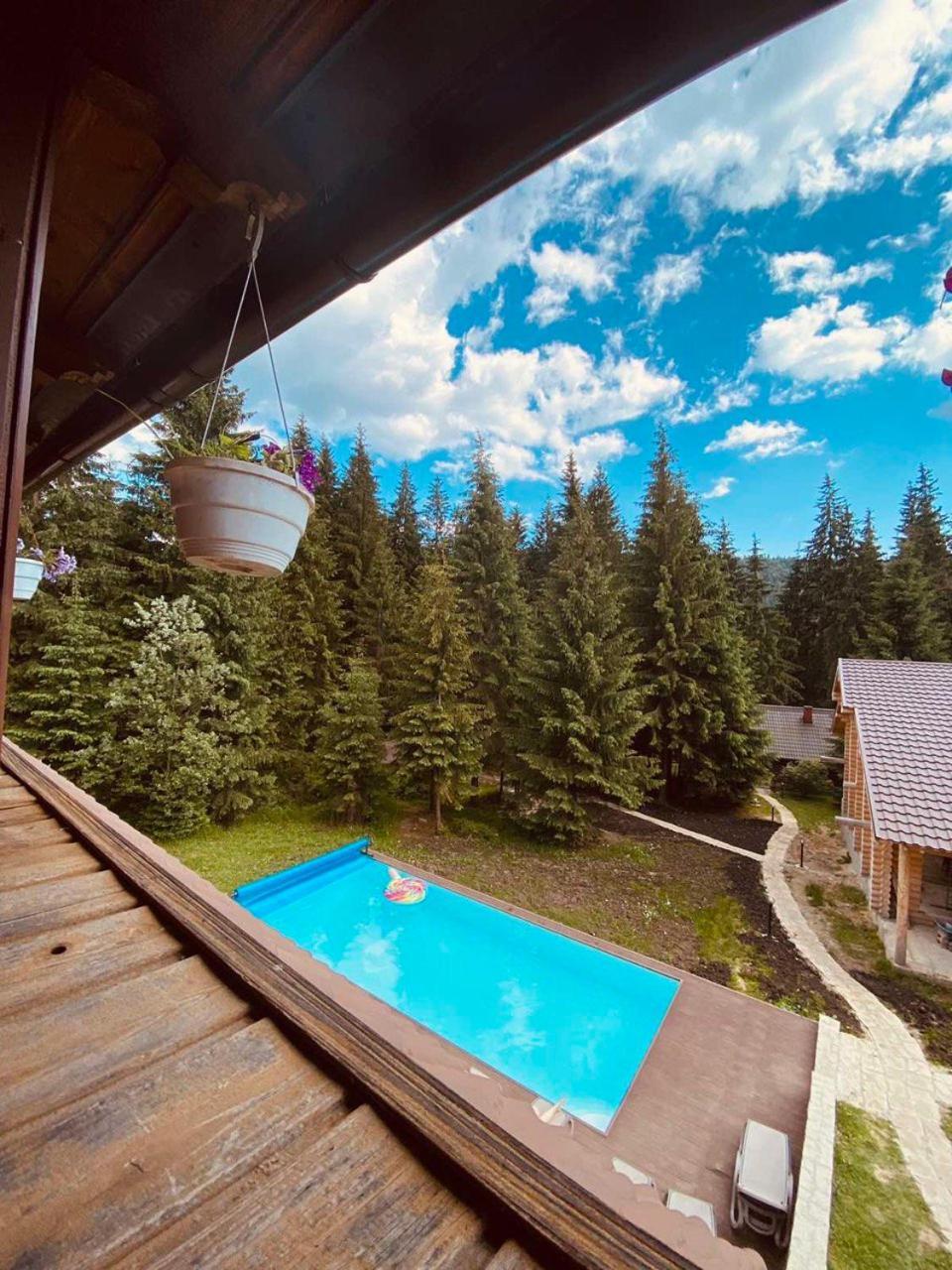 Chalet маєток ліс і гори