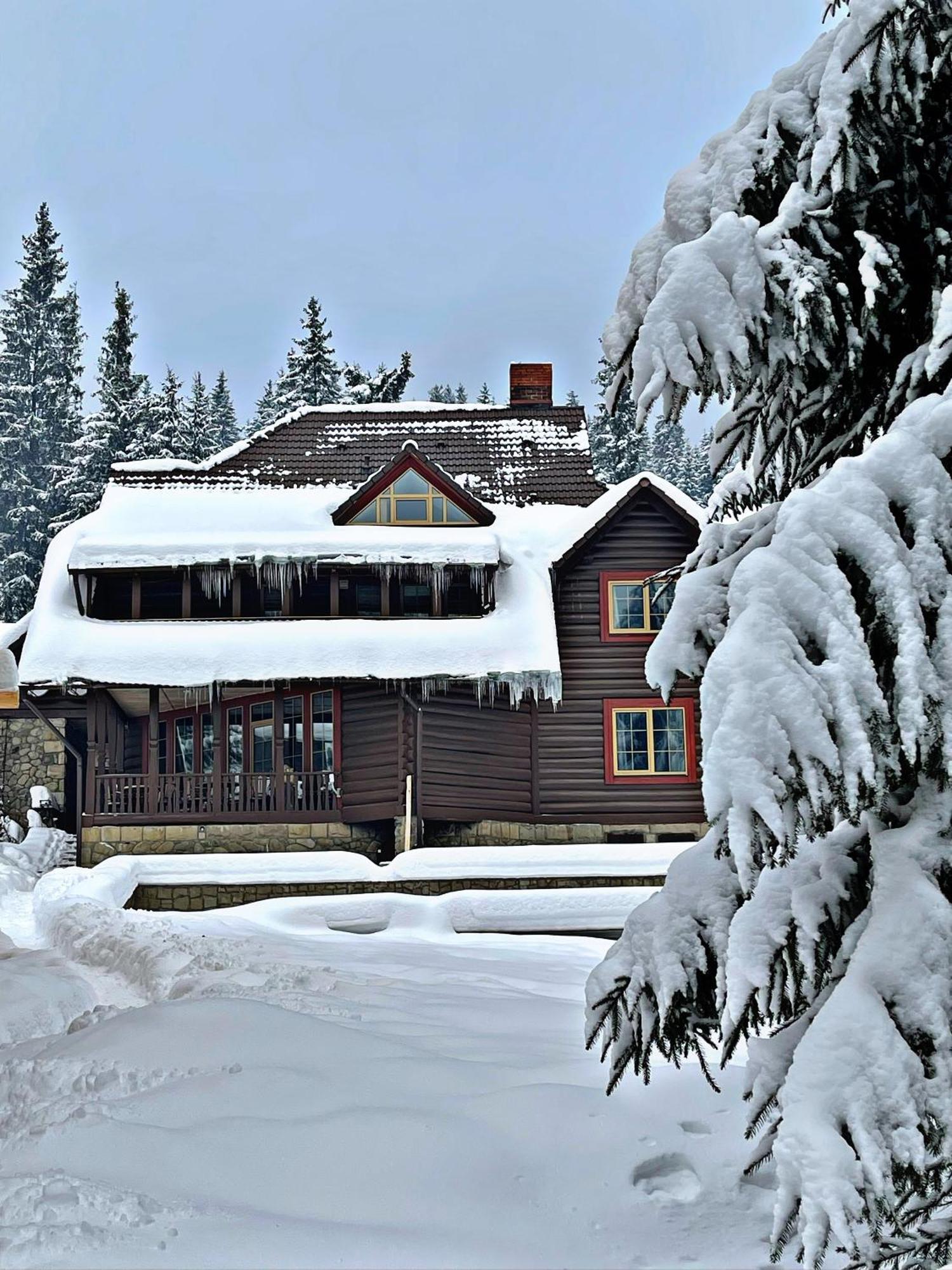 Chalet маєток ліс і гори