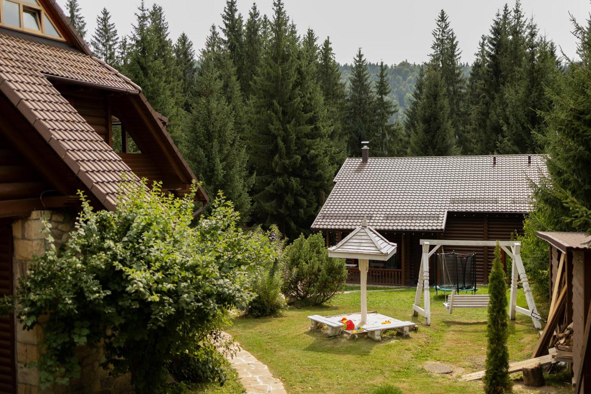 Chalet маєток ліс і гори