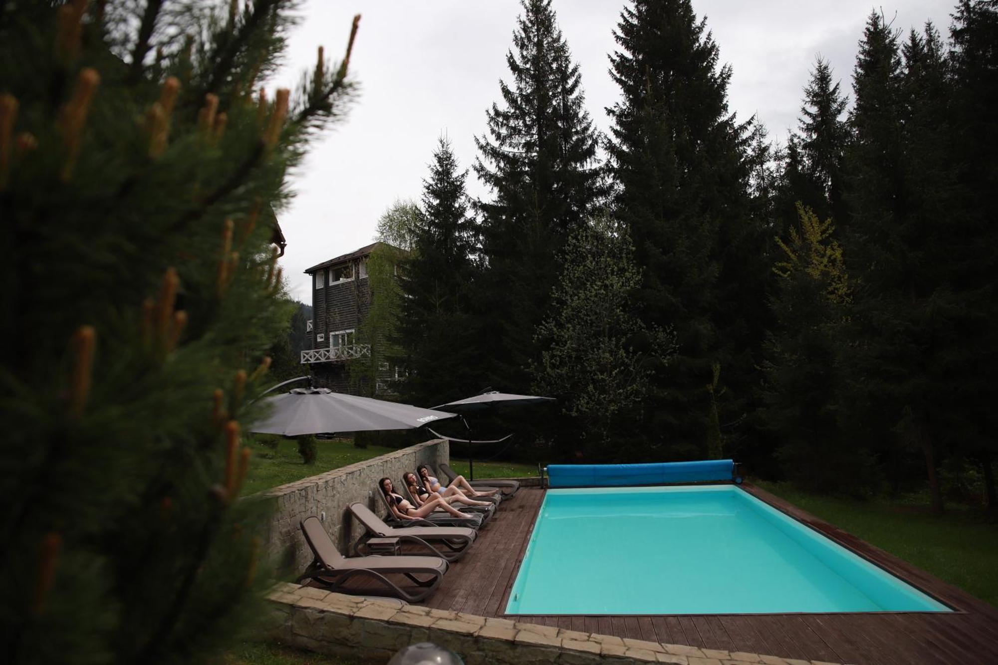 Chalet маєток ліс і гори